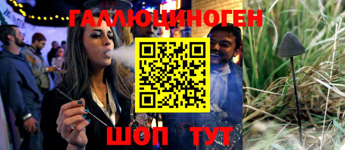 Галлюциногенные грибы Psilocybine cubensis Карпинск